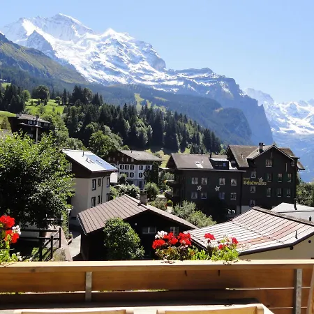 Hannegg Penthouse Apartment Wengen