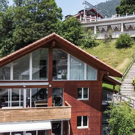 Apartment Hannegg Penthouse Wengen