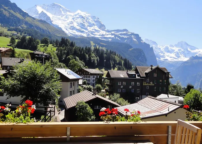 Hannegg Penthouse 公寓 翁根