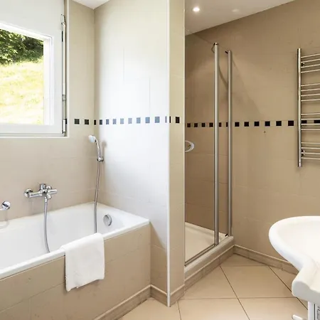 Hannegg Penthouse * Wengen